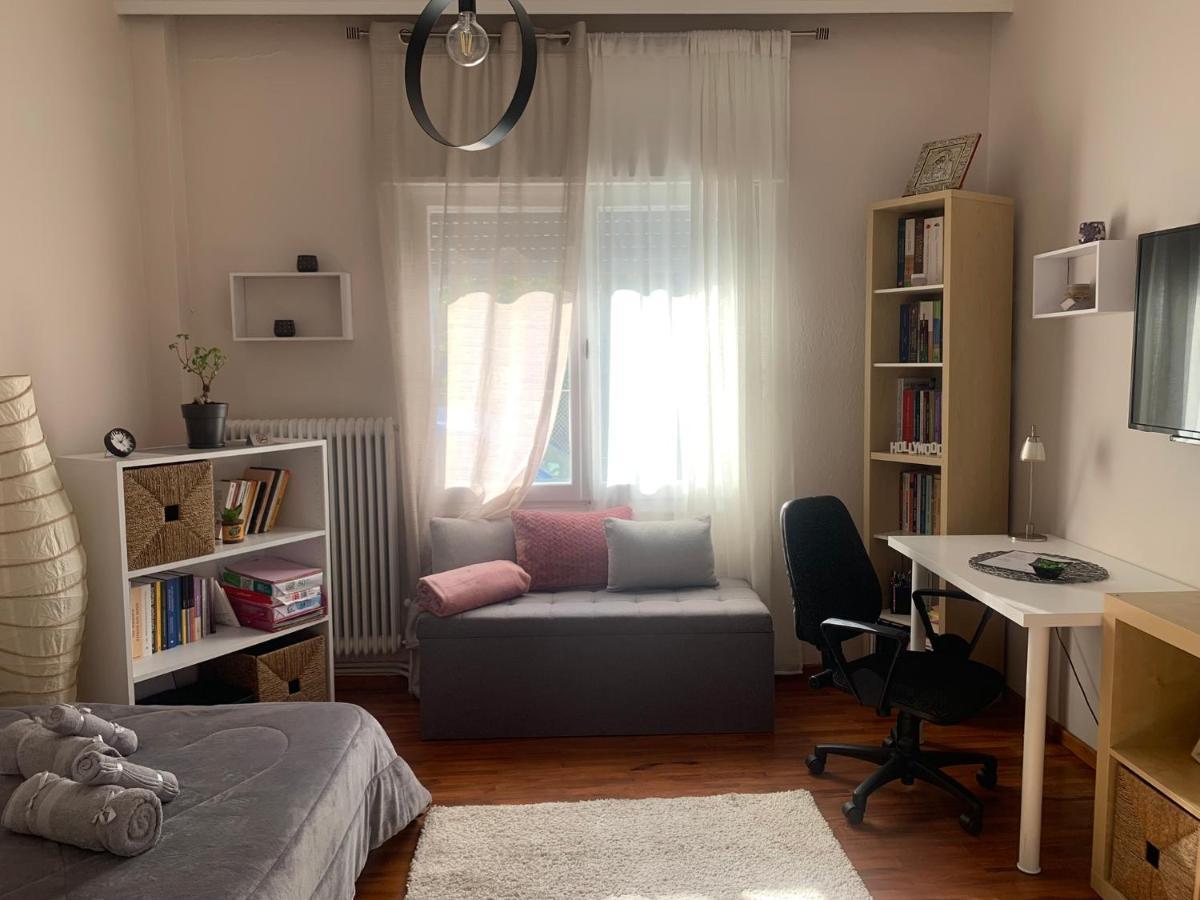 Petra'S House Apartment Florina Exterior photo