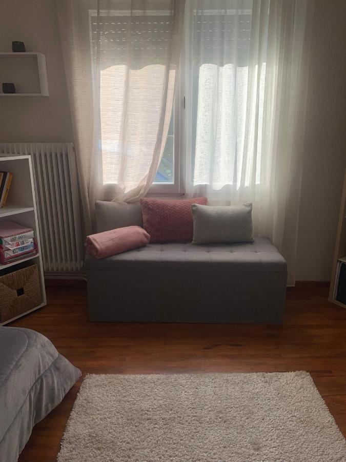 Petra'S House Apartment Florina Exterior photo